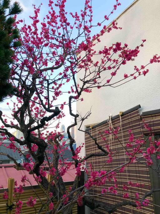 新宿新大久保駅日本和の宿 Tokyo Bagian luar foto